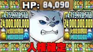 HP○万越え！最強無課金キャラ爆誕！定春がぶっ壊れすぎでヤバい【パズドラ】