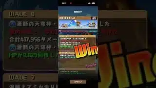 ワンタッチダンジョン　氷原Lv9 #パズドラ　#パズル　#ワンタッチ　#ダンジョン　#放置