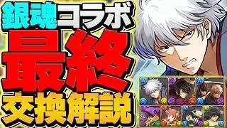 銀魂コラボ最終交換所解説！評価急上昇のSSランクを絶対に確保しよう！これ見ればOK!!【パズドラ】