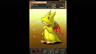 パズドラ ガチャ引いてみた！