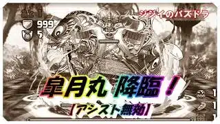 【パズドラ】皐月丸降臨　【アシスト無効】フェルン編成