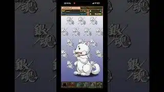 パズドラ 銀魂コラボガチャ引いたら…