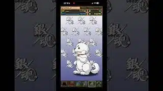 パズドラ 銀魂コラボガチャ引いたら…