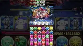 【#プラマラ】編成詳細は関連動画から！【#パズドラ】【#星を紡ぐ精霊】