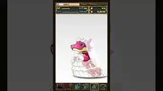 パズドラ　ブライダルガチャ‼️ログインスタンプ1日目のプレゼント🎁202606