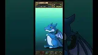 【パズドラ】デイトナかシーウルフ出るまで毎日動画視聴ガチャ1504日目！2026/6/1 #パズドラ #shorts