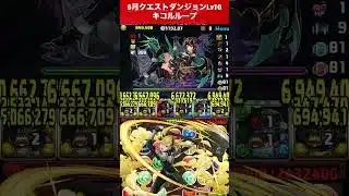 【1コンボするだけ】今月のキコルループ【#6月クエストダンジョン】【#パズドラ/パズル&ドラゴンズ】 #Lv10 #四ノ宮キコル