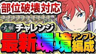 【史上初】全部位破壊で18分周回！組みやすい最強ラインハルトで大樹チャレンジ攻略！【パズドラ】