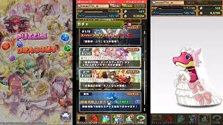 【ブライダルガチャ2026】新キャラは人権！？引くべきか！？
