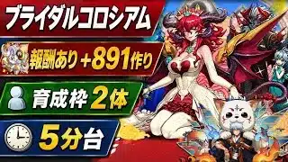 【ほぼズラし】報酬あり2体同時+891作り‼️ブライダルコロシアム 周回編成・立ち回り紹介！！【#パズドラ/パズル&ドラゴンズ】