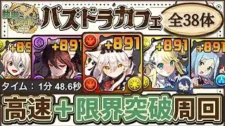 【パズドラ】メイドキャラ全38体！＋891限界突破！織姫彦星降臨、ゼヘラ降臨、メイドコロシアム1＆2を含む1分爆速周回編成を5パターン紹介！