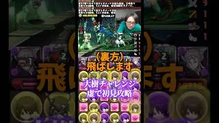 【最強やん】毎ターン3900億出るやん。虚ってこんなに強かったんや #たかし #パズドラ