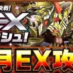 6月EXラッシュをサクッと攻略しよう！【パズドラ配信】＃パズドラ