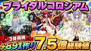 【7.5億経験値】3体同時+891作り‼️ブライダルコロシアム ゼラ、スカーレット、フェノン用周回編成・立ち回り紹介！！【#パズドラ/パズル&ドラゴンズ】