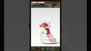 パズドラ　★7以上ブライダルガチャ‼️ログインスタンプ10日目のプレゼント🎁202606
