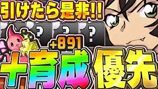このキャラ優先的に＋891育成しよう！！コナンコラボの＋限界突破おすすめキャラを厳選して紹介！！【パズドラ実況】＃パズドラ