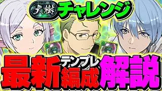 超重力無効＝最強ぶっ壊れチート！フリーレンPTで大樹攻略！負ける要素なしです！【パズドラ】