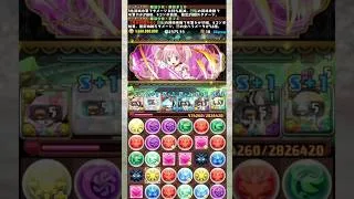 『まどマギ編成』VS『大樹ボス』 【パズドラ まどか ほむら さやか 杏子 マミ 大樹チャレンジ】 #パズドラ #shorts
