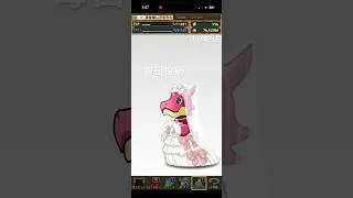 ガチャpart1671【2026/6/9】#パズドラ #毎日投稿