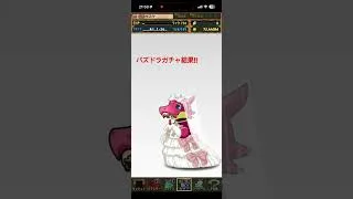 パズドラガチャ結果!!
