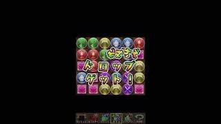 パズドラ　執事とメイドとパズドラカフェガチャ