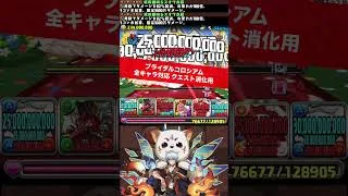 【虹メダルは回収】全キャラ対応クエスト消化用【#パズドラ/パズル&ドラゴンズ】 #ブライダルコロシアム #銀時