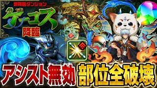【銀時ループ】部位全破壊‼️ゲーコス降臨 アシスト無効 周回編成・立ち回り紹介！！【#パズドラ/パズル&ドラゴンズ】
