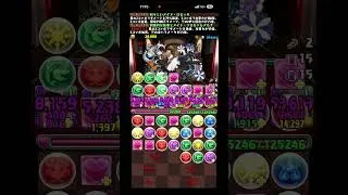パズドラ　メイドコラボ　上級