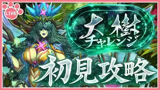 【パズドラ】新称号チャレンジ「大樹」チャレンジ開催!推しキャラで初見攻略!【雑談】