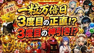 メイドガチャ引くぞ【メイドと執事とパズドラ カフェ】【パズドラ 】#吉日ガチャ #パズドラガチャ