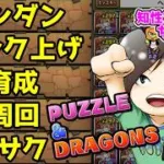 【メイドコロシアム】ランク上げやる　雑談止まったら終了【#パズドラ #縦型配信】