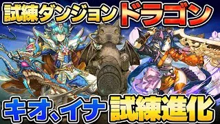 【ノアループ】ノンストップ‼️試練ダンジョンドラゴン キオ・イナ用周回編成・立ち回り紹介！！【#パズドラ/パズル&ドラゴンズ】