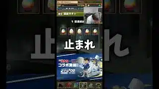 【なにも出てない】京極と千速が欲しいんです #たかし #パズドラ