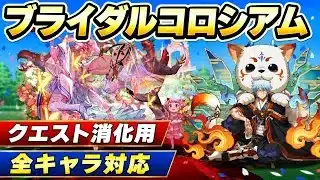【全キャラ対応】クエスト消化用‼️ブライダルコロシアム 周回編成・立ち回り紹介！！【#パズドラ/パズル&ドラゴンズ】