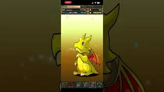 パズドラクロス10周年記念スーパーゴッドフェスガチャ5連 #パズドラガチャ