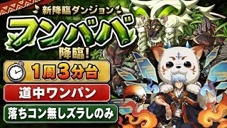 【1周3分台】落ちコン無しズラしのみ‼️フンババ降臨 周回編成・立ち回り紹介！！【#パズドラ/パズル&ドラゴンズ】