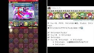 ノーランドファウルバウト降臨  【アシスト無効】  ラインハルト　パズドラ  コードギアスコラボ　2026.7