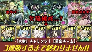 《パズドラ》全員勝たせます　「大樹」チャレンジ！【固定チーム】　3連勝するまで終わりません！!