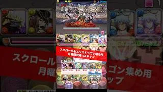 【4スキップ】エリスドラゴン＆スクロール集め用【#パズドラ/パズル&ドラゴンズ】 #月曜闘技場 #銀時