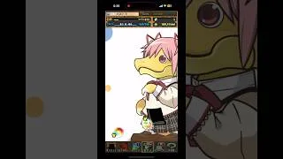 【5連】まどマギ実質コンプしてみた【パズドラ】