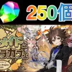 執事・メイドガチャ50連　【パズドラ】