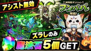 【魔法石5個GET】ズラしのみ‼️フンババ降臨 アシスト無効 周回編成・立ち回り紹介！！【#パズドラ/パズル&ドラゴンズ】