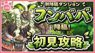 【パズドラ】7月の新降臨「フンババ降臨」を初見攻略！【雑談】