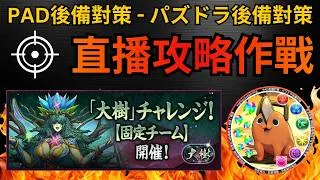 PAD後備直播攻略作戰：固定大樹挑戰。大樹霊王・アドネア，PAD大樹，大樹の霊王，大樹チャレンジ【パズドラ 】