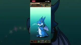 【PUZZLE & DRAGONS】動画視聴で1回ガチャ！まどマギコラボ 7日目【パズドラ】