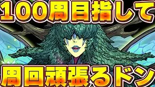 大樹周回を頑張りましょうそうしましょう雑談【パズドラ配信】＃パズドラ