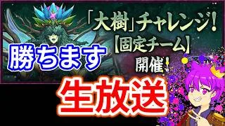 固定チーム大樹チャレンジ勝ちます!!【パズドラ】