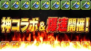 【環境確定】突然の神コラボ＆爆速開催決定がヤバすぎる【パズドラ】