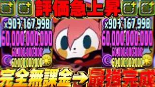 【誰でも組める】お菓子の魔女作った人必見！無課金史上最強システムほぼ確定なのヤバすぎる【パズドラ】