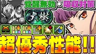 スキルが優秀すぎる！！琉高ハルカがソロモンメルナ的な役割を持っていてかなり強い！！まどマギ編成に入れて大樹攻略余裕！！【パズドラ配信】＃パズドラ